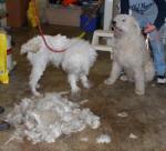 !cid_image002_jpg@01D0576E