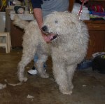 !cid_image004_jpg@01D0576F